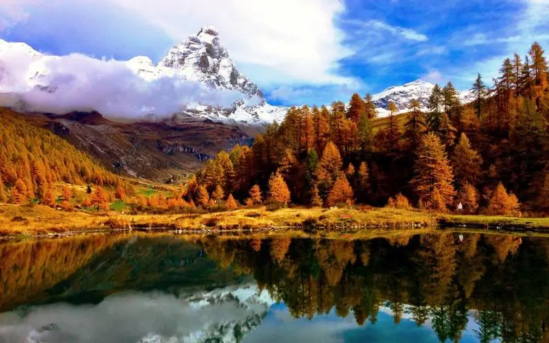 智能可靠性